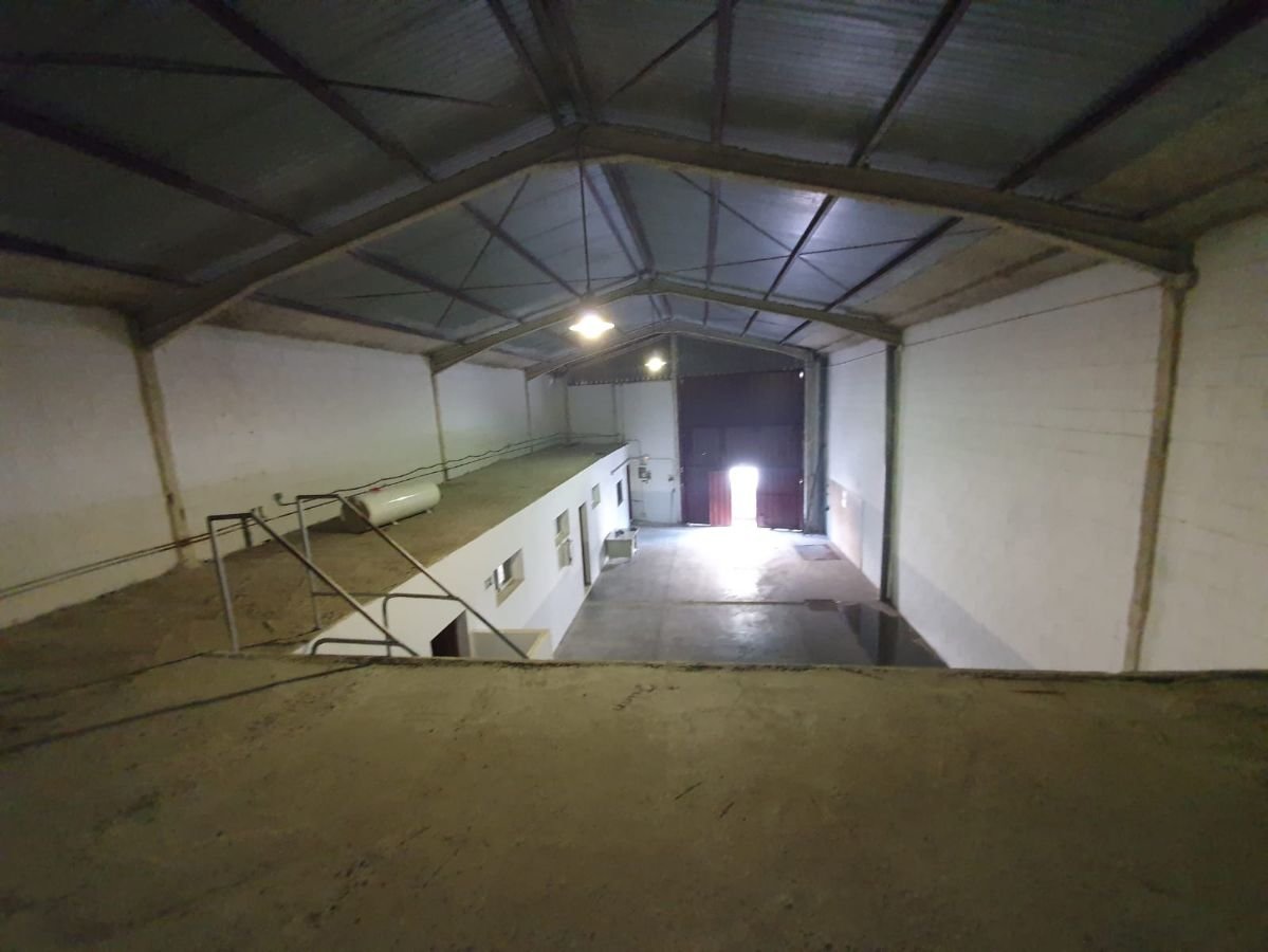 For sale of industrial plant/warehouse in Jerez de la Frontera