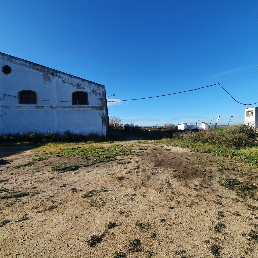 For sale of industrial plant/warehouse in Jerez de la Frontera