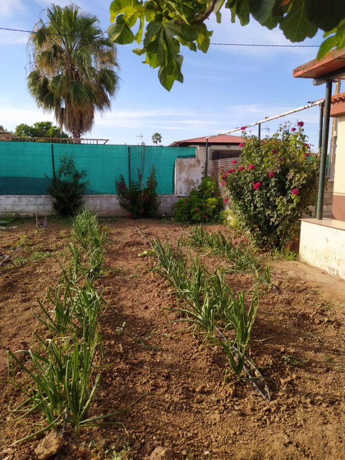 For sale of land in Jerez de la Frontera