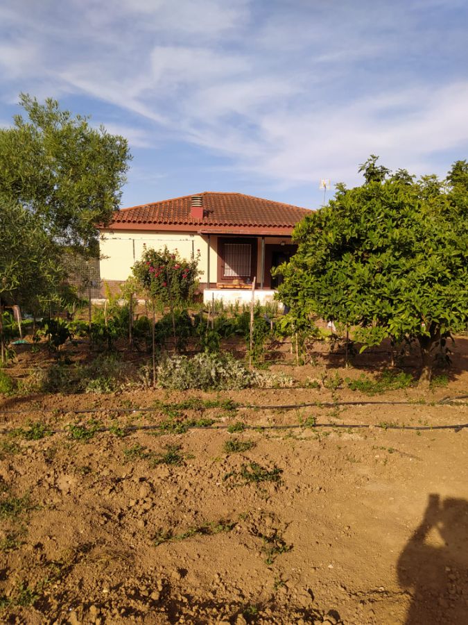 For sale of land in Jerez de la Frontera