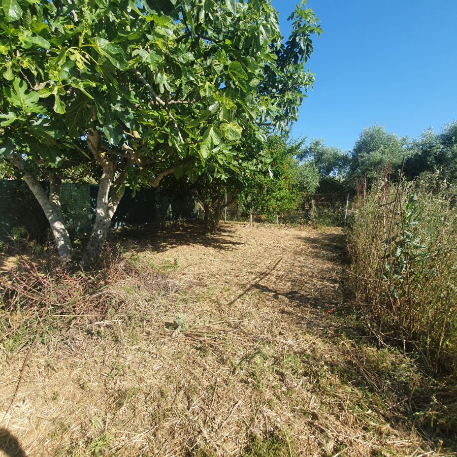 For sale of land in Jerez de la Frontera