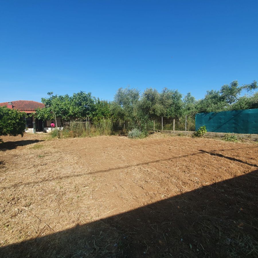 For sale of land in Jerez de la Frontera