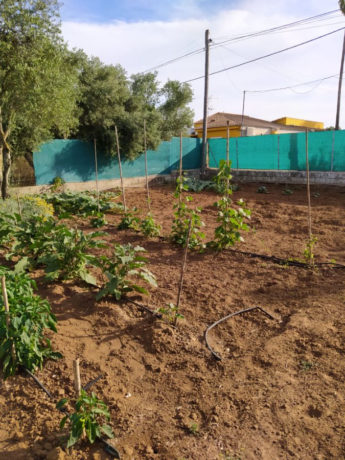 Venta de terreno en Jerez de la Frontera