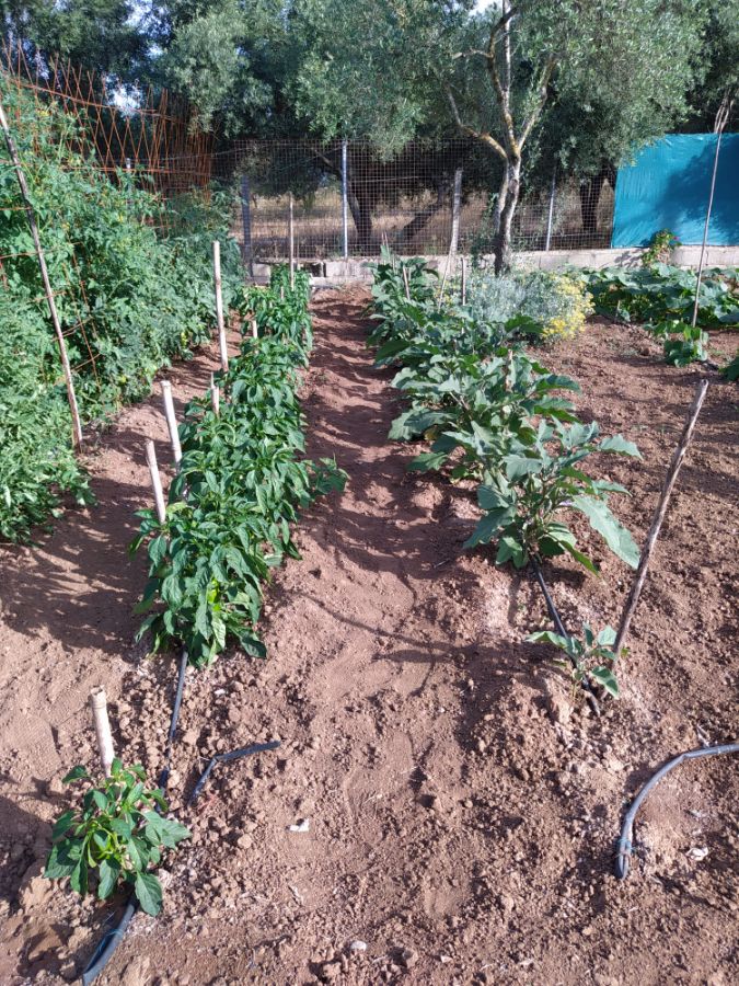 Venta de terreno en Jerez de la Frontera