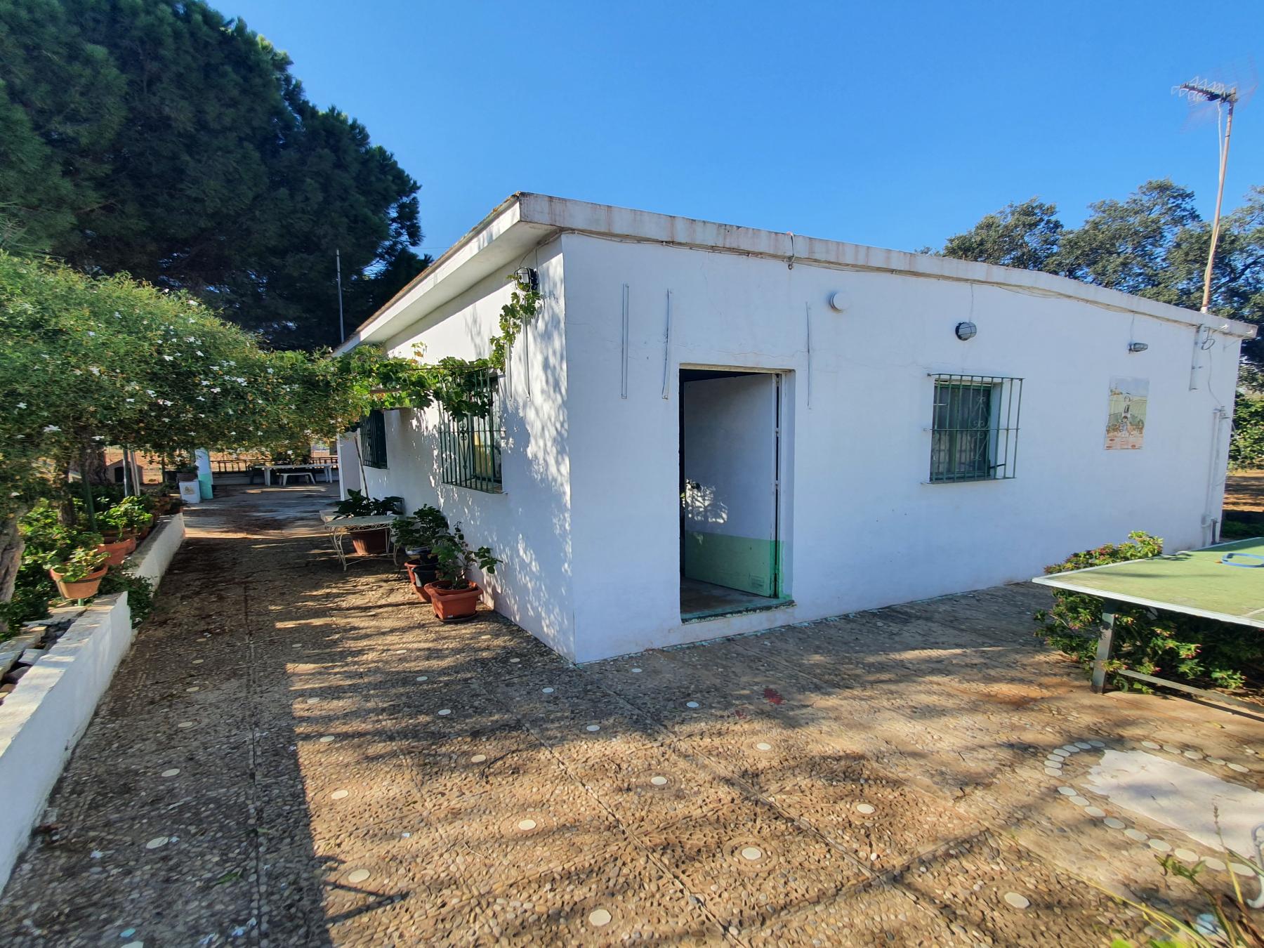 Venta de  en Jerez de la Frontera