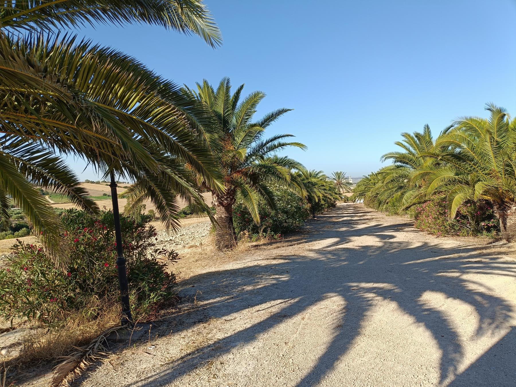 For sale of rural property in Arcos de la Frontera