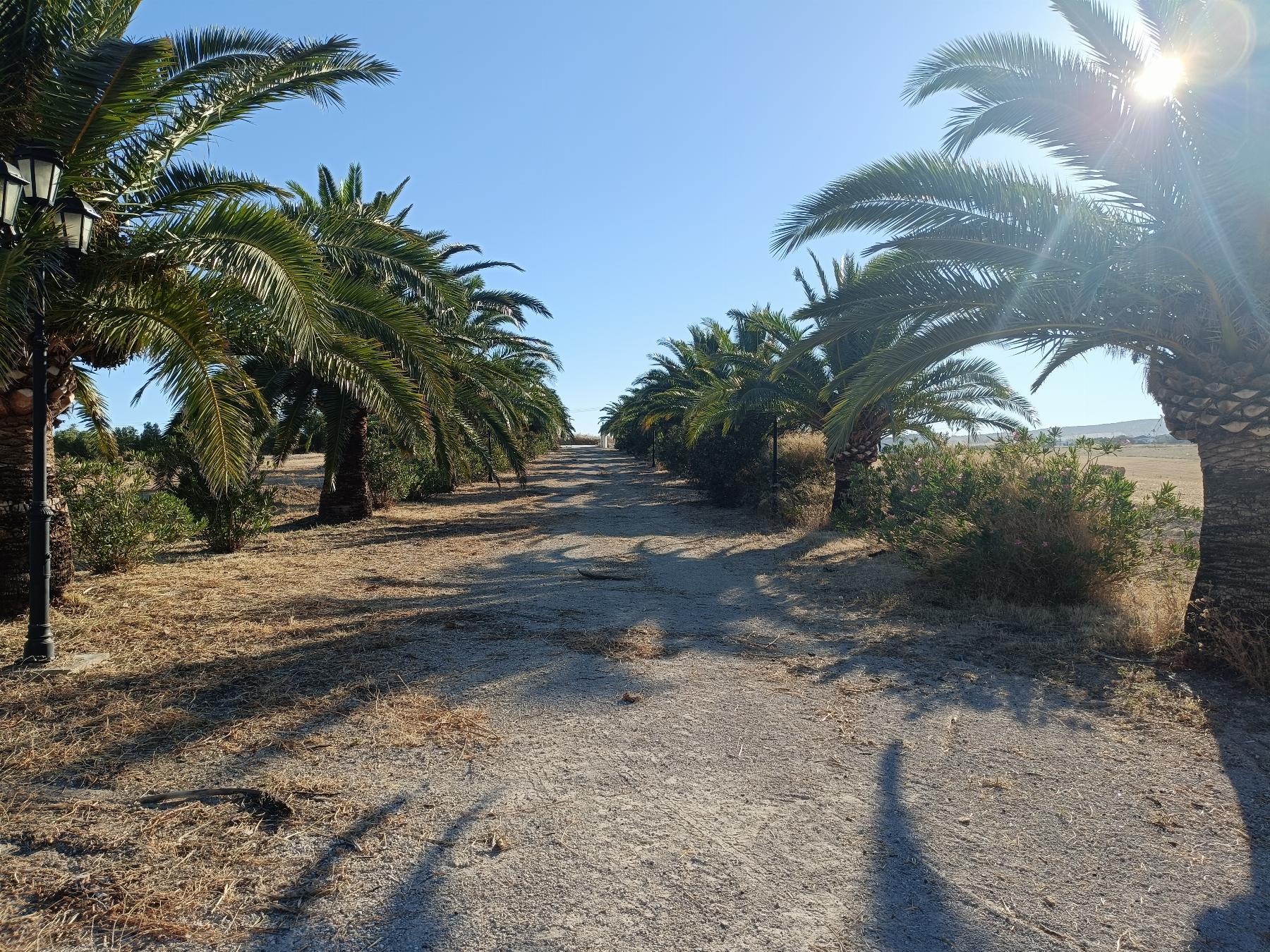 For sale of rural property in Arcos de la Frontera