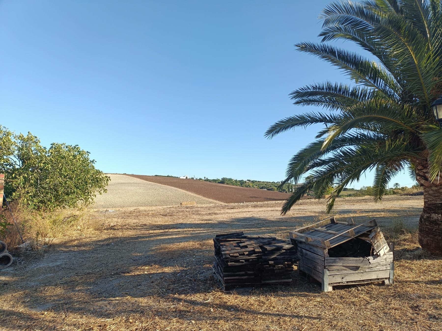 For sale of rural property in Arcos de la Frontera