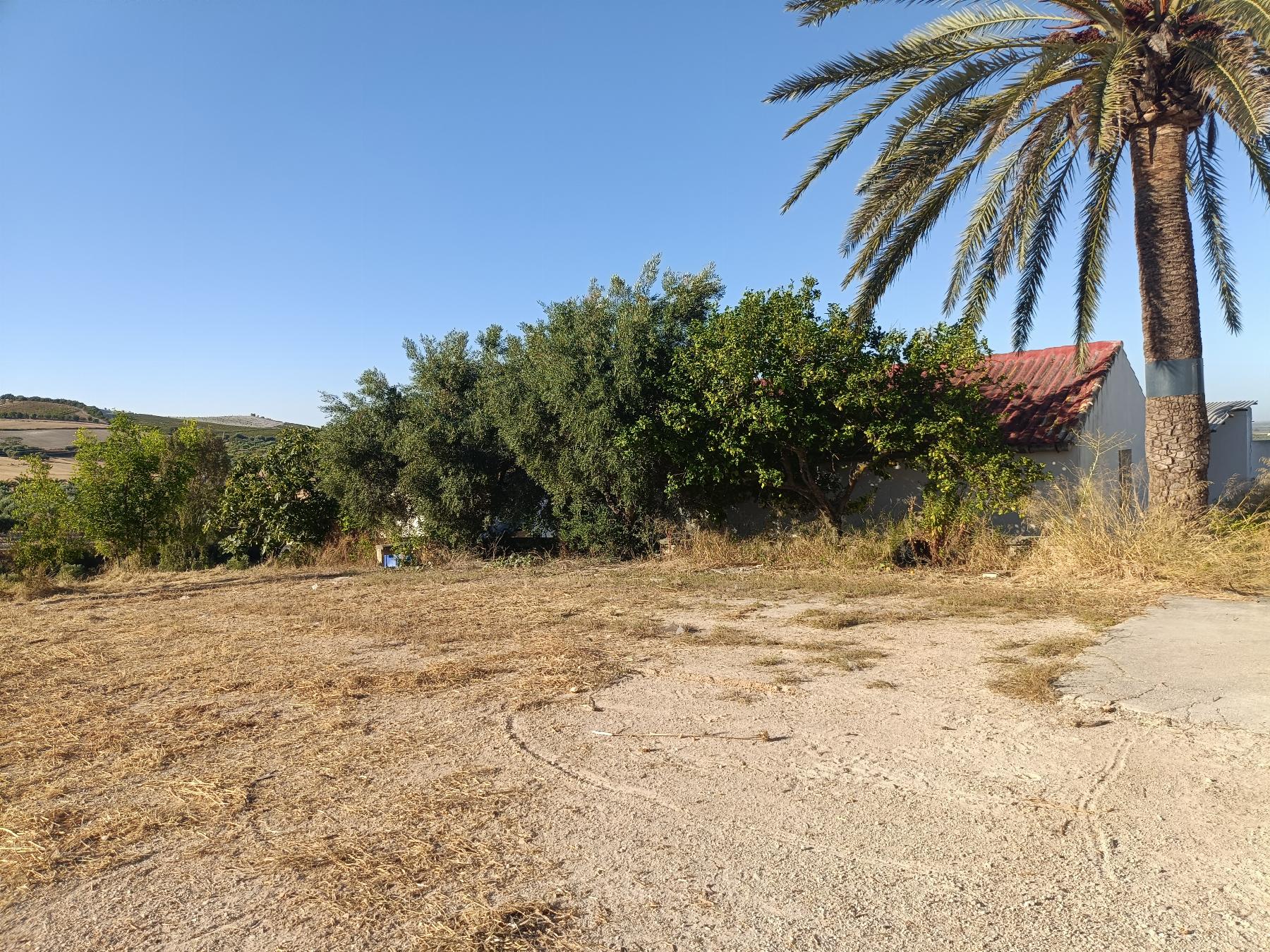 For sale of rural property in Arcos de la Frontera