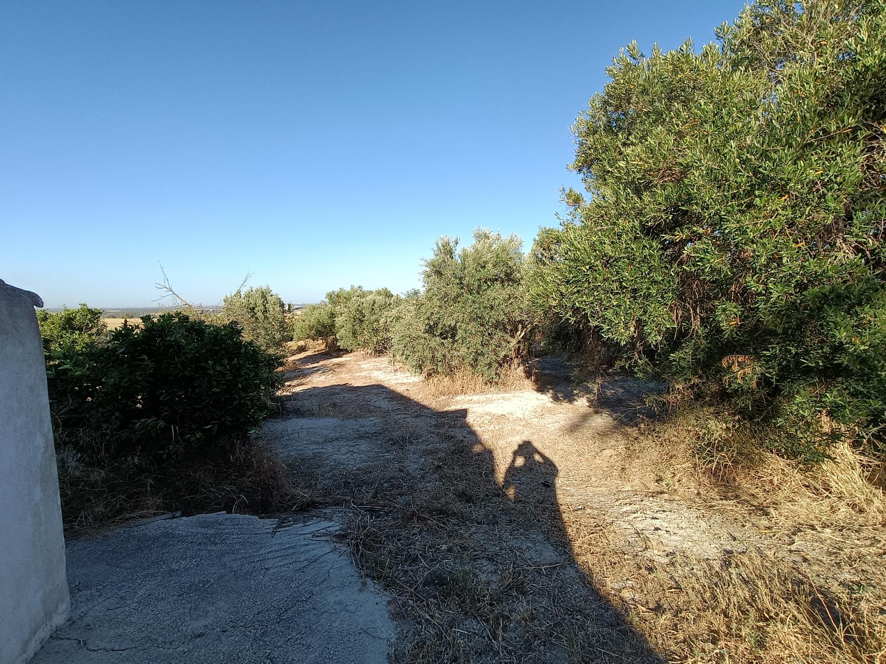 For sale of rural property in Arcos de la Frontera