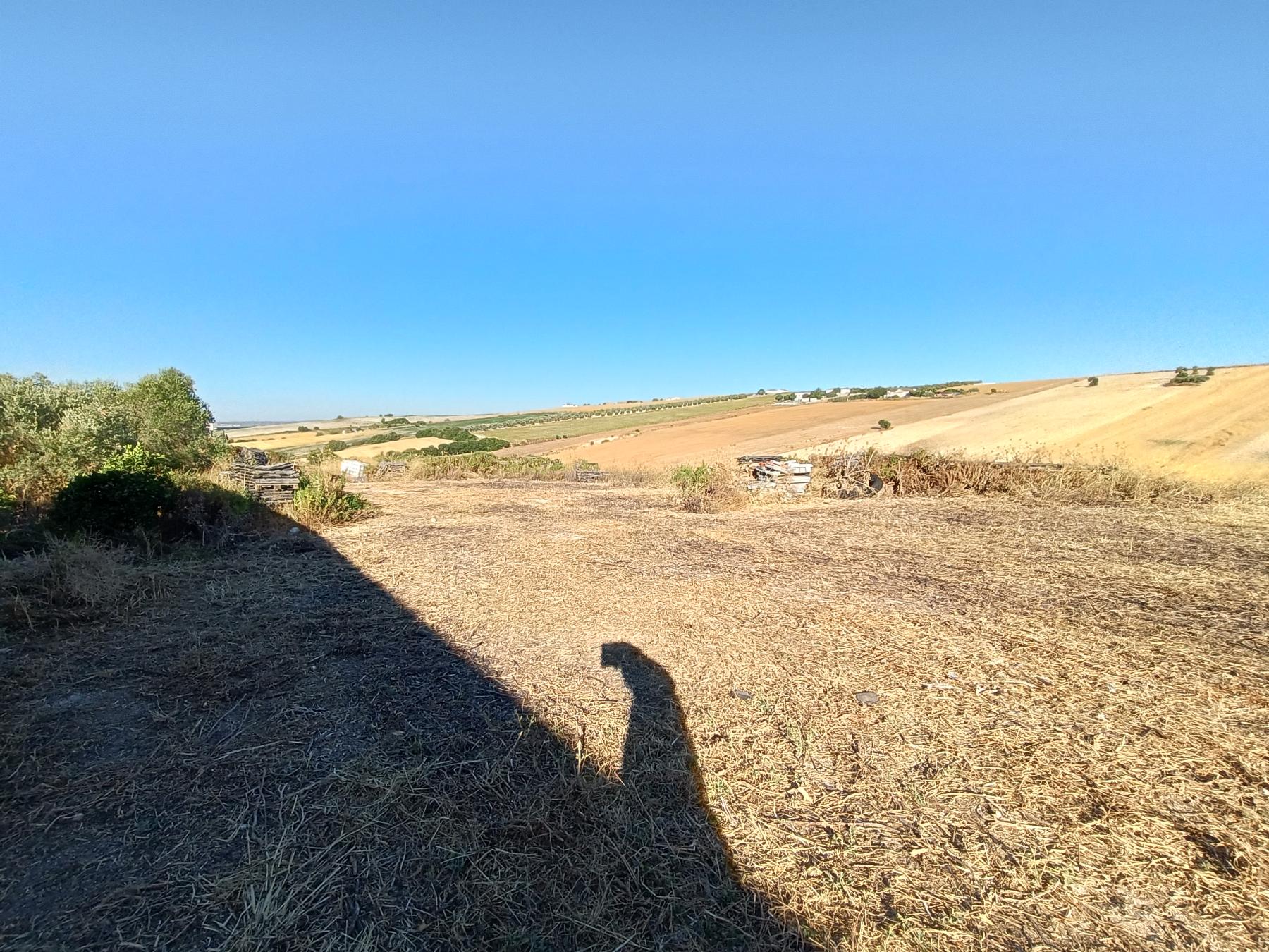 For sale of rural property in Arcos de la Frontera
