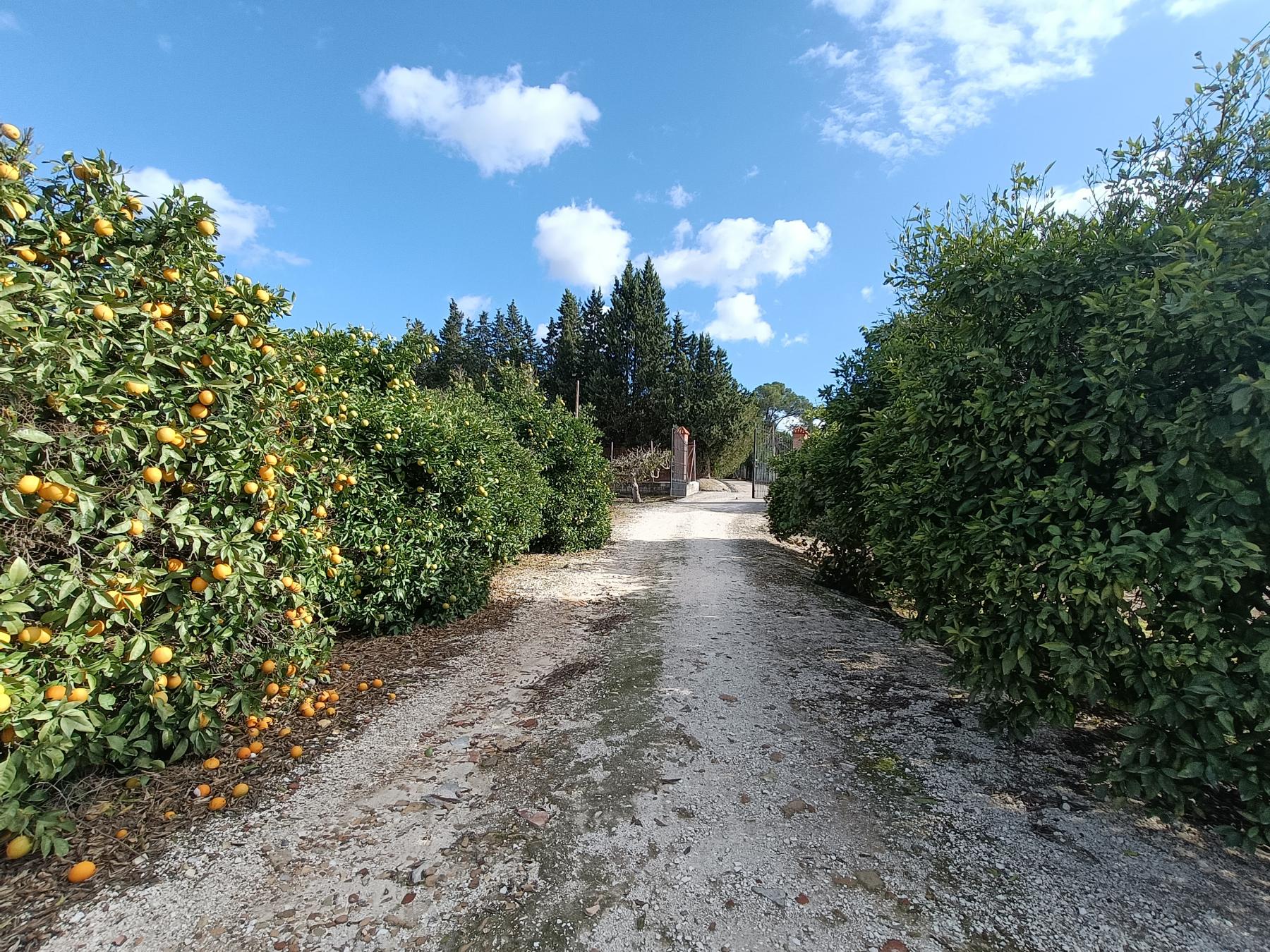 For sale of rural property in Jerez de la Frontera
