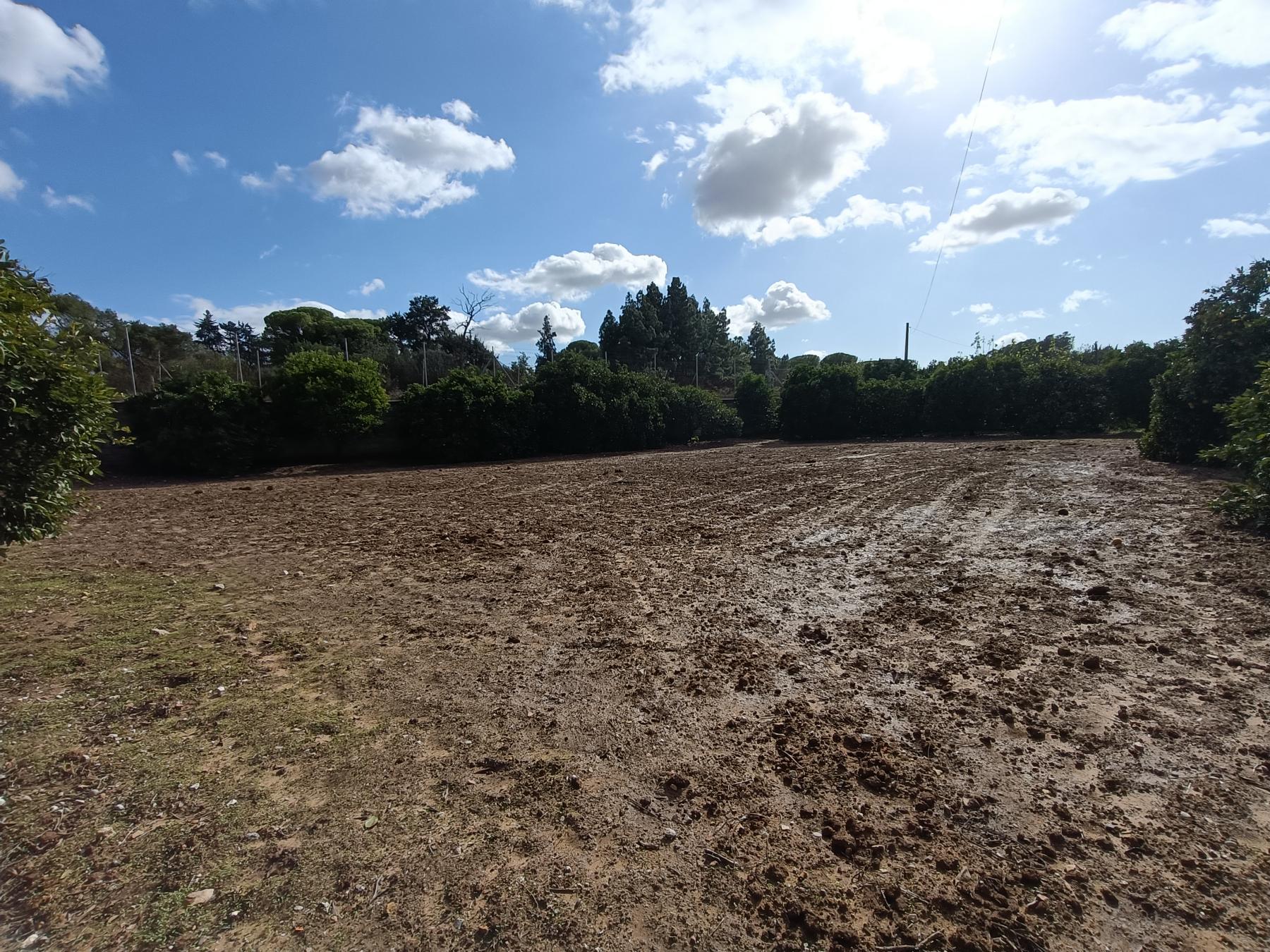 For sale of rural property in Jerez de la Frontera