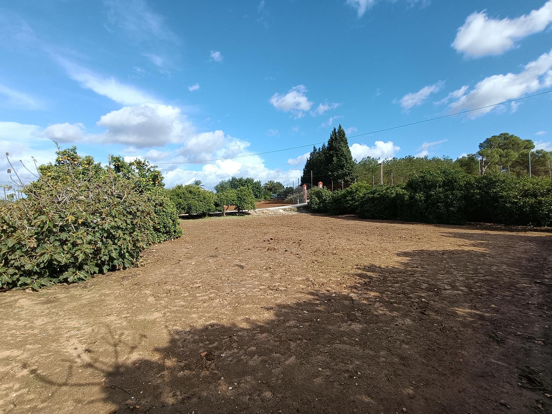 For sale of rural property in Jerez de la Frontera