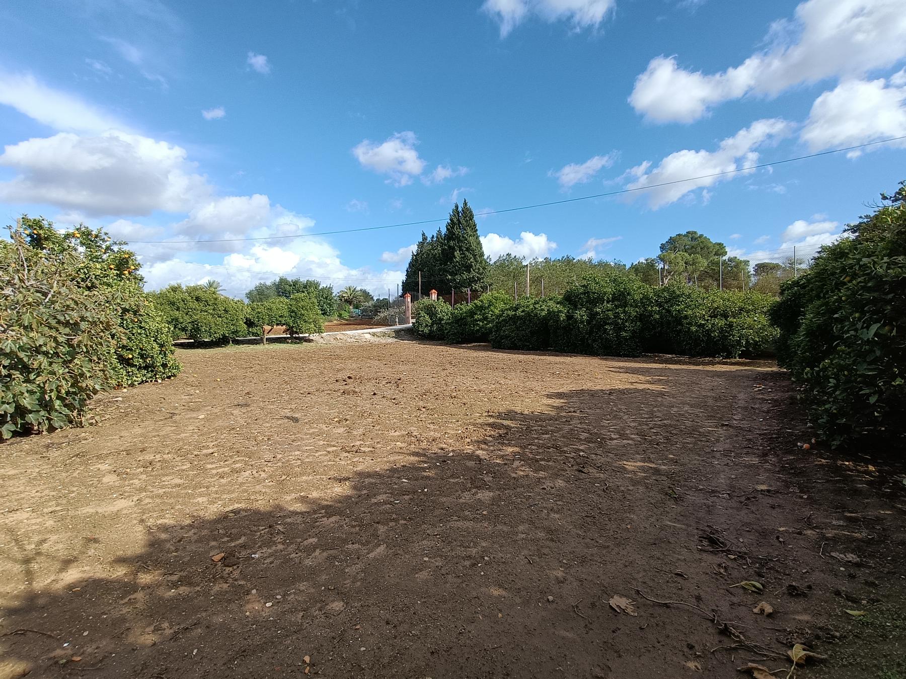 For sale of rural property in Jerez de la Frontera