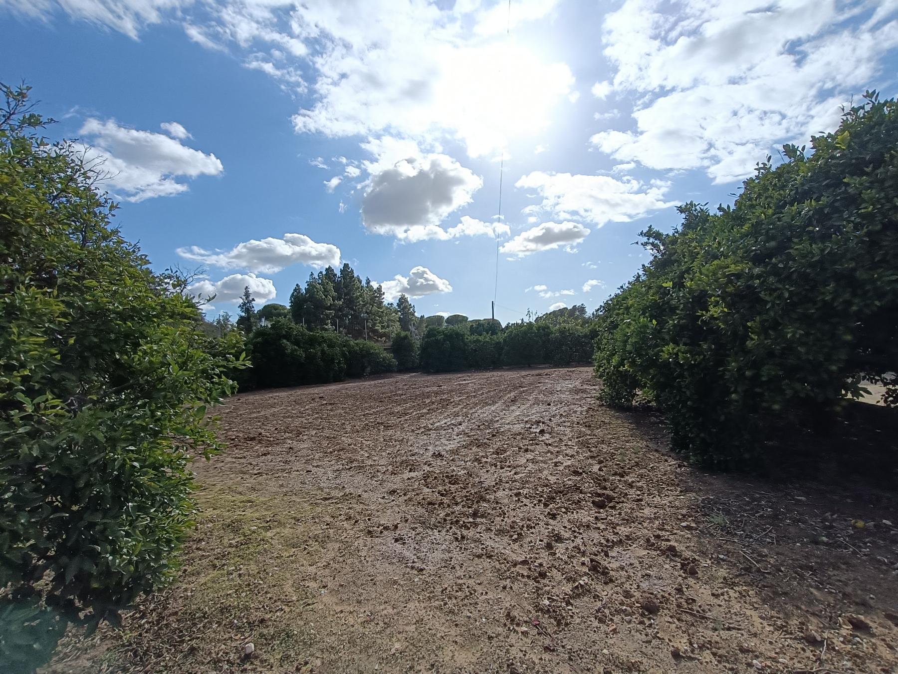 For sale of rural property in Jerez de la Frontera
