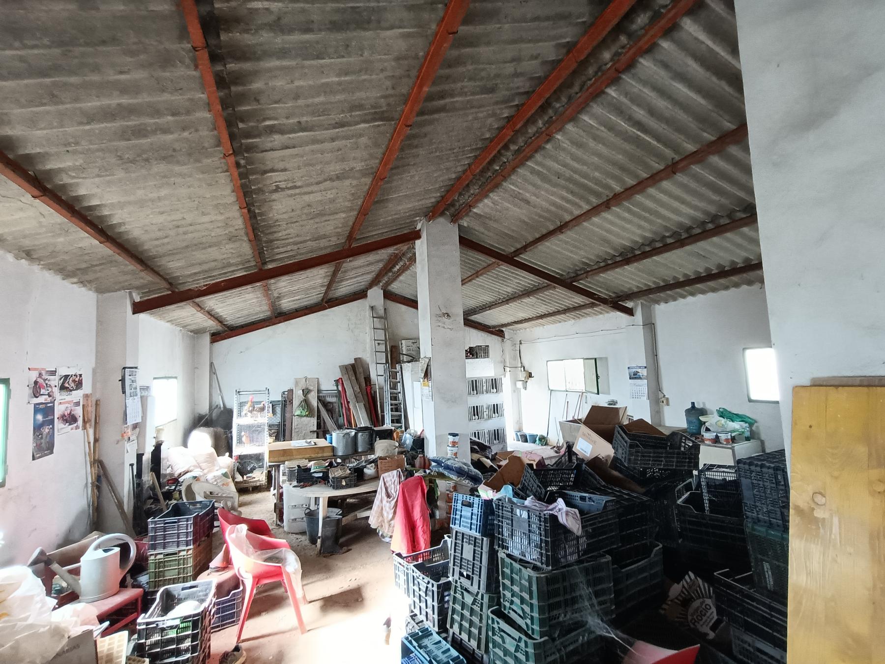 For sale of rural property in Jerez de la Frontera