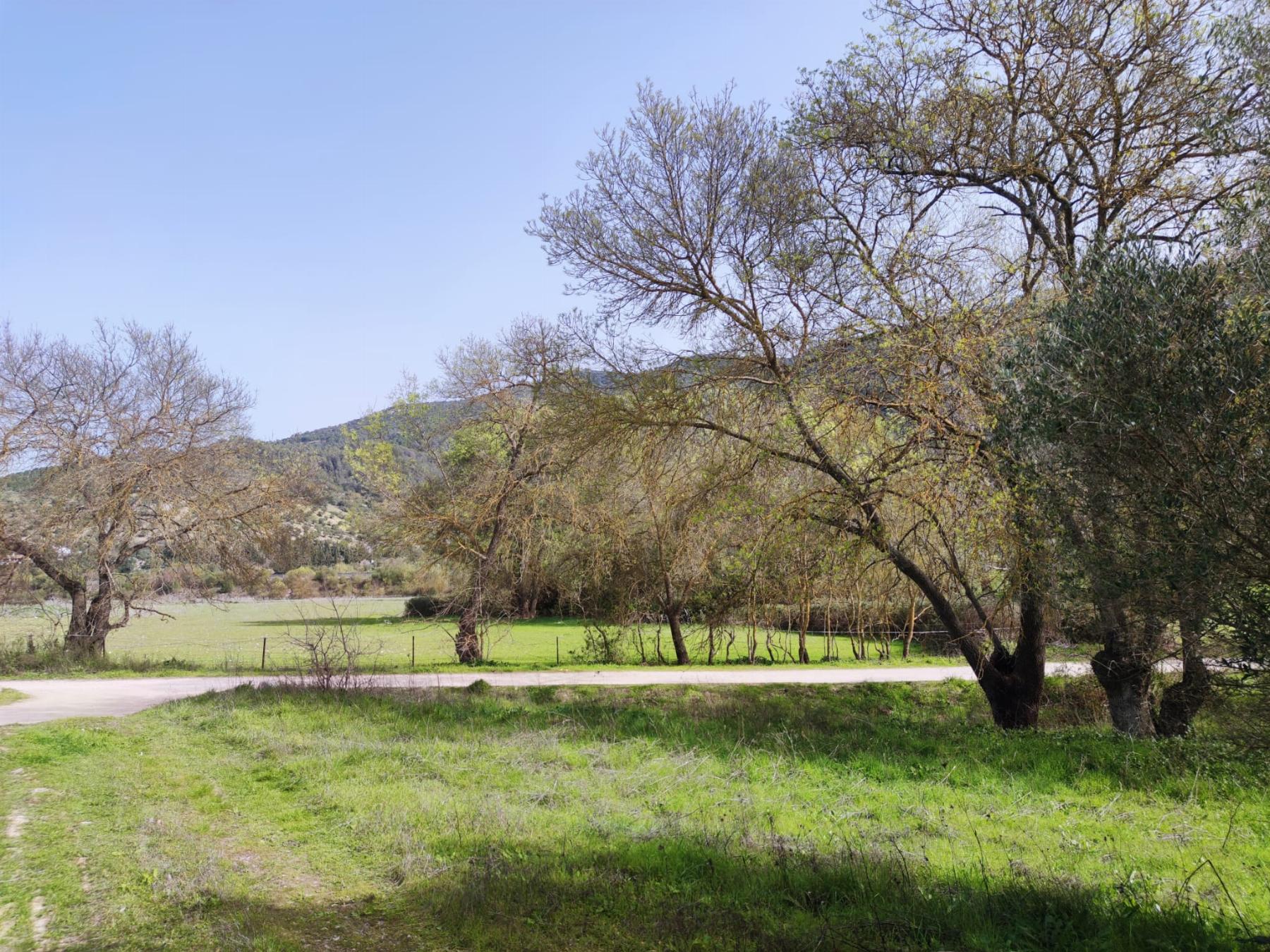 For sale of rural property in El Bosque