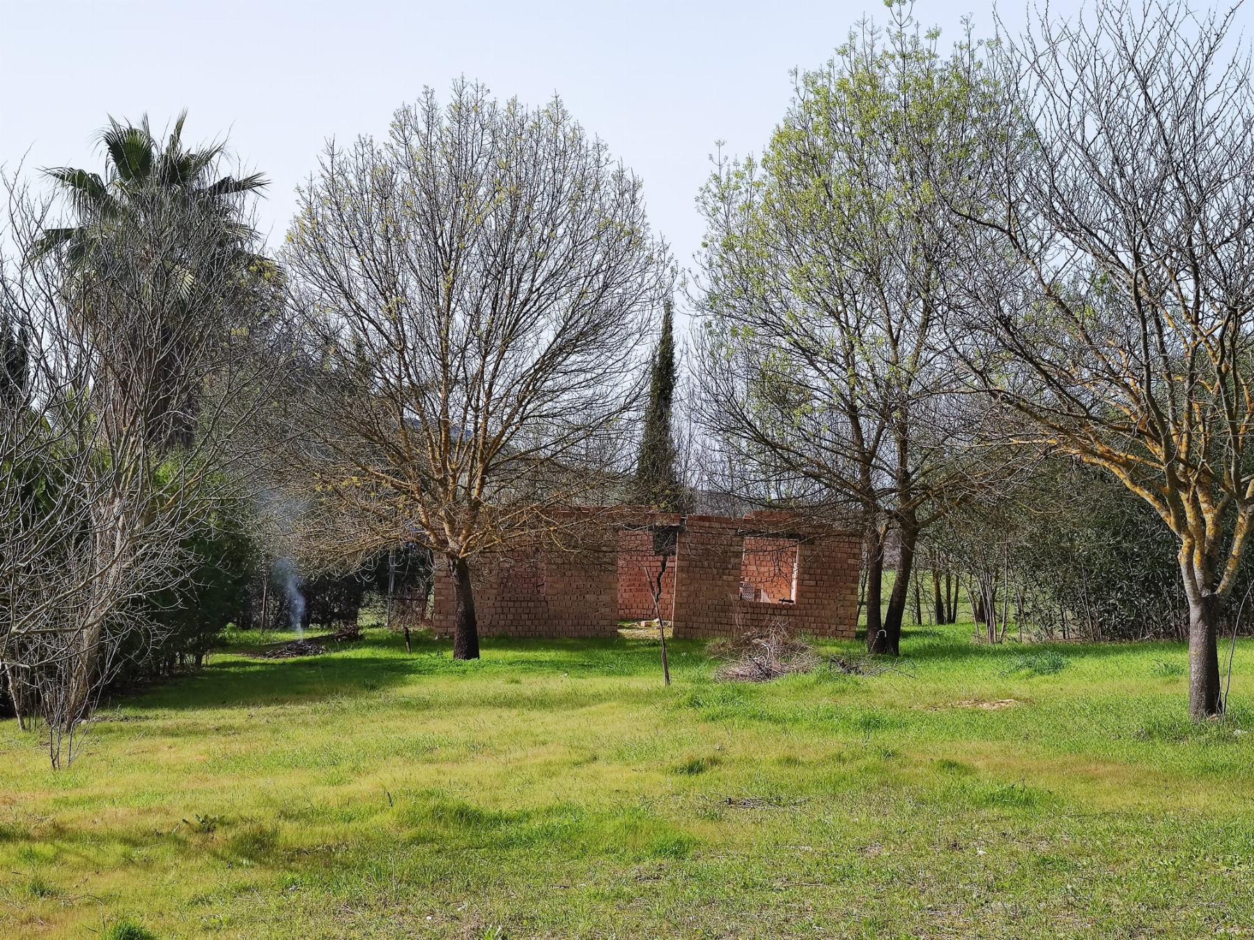 For sale of rural property in El Bosque
