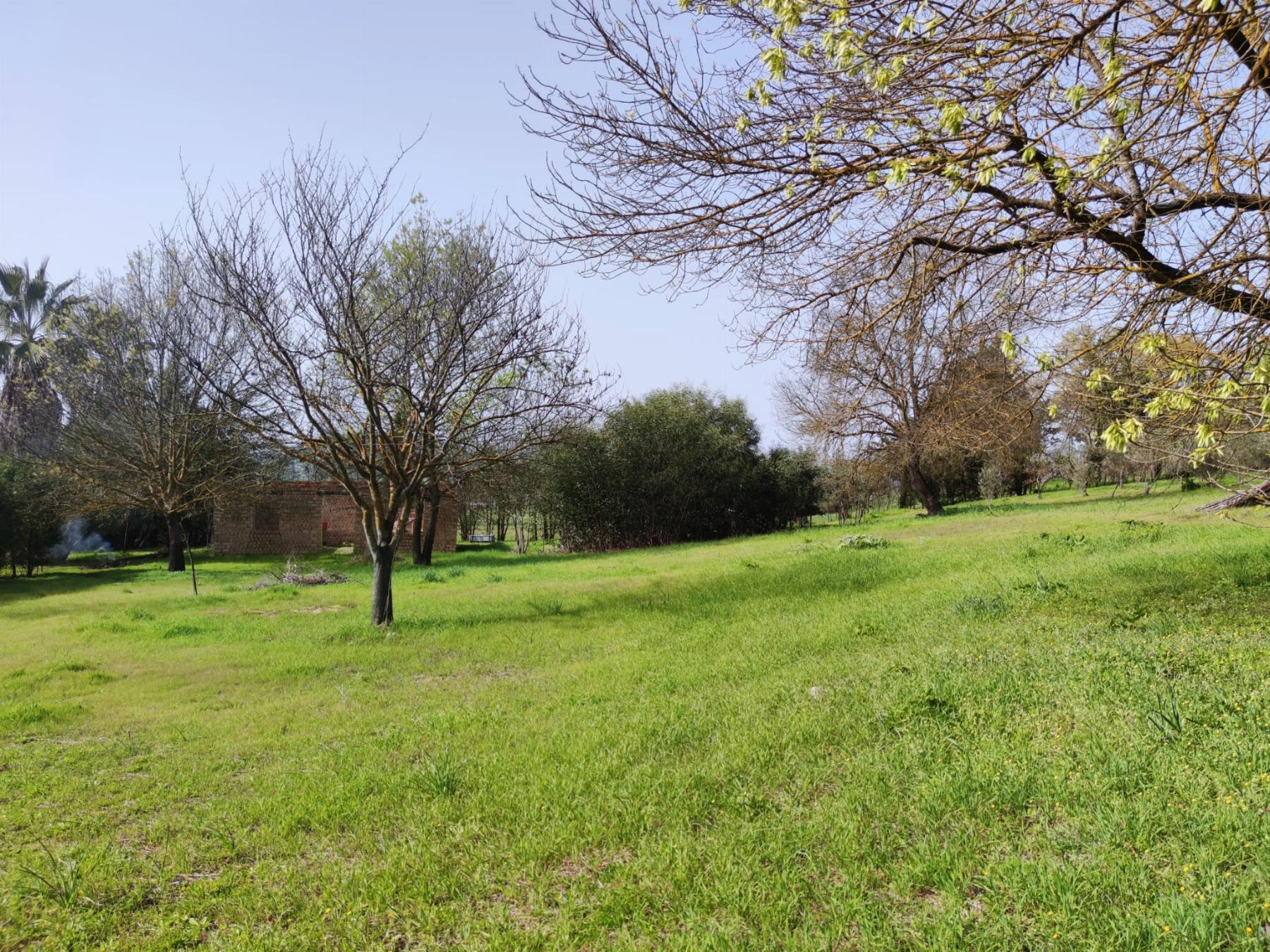 For sale of rural property in El Bosque