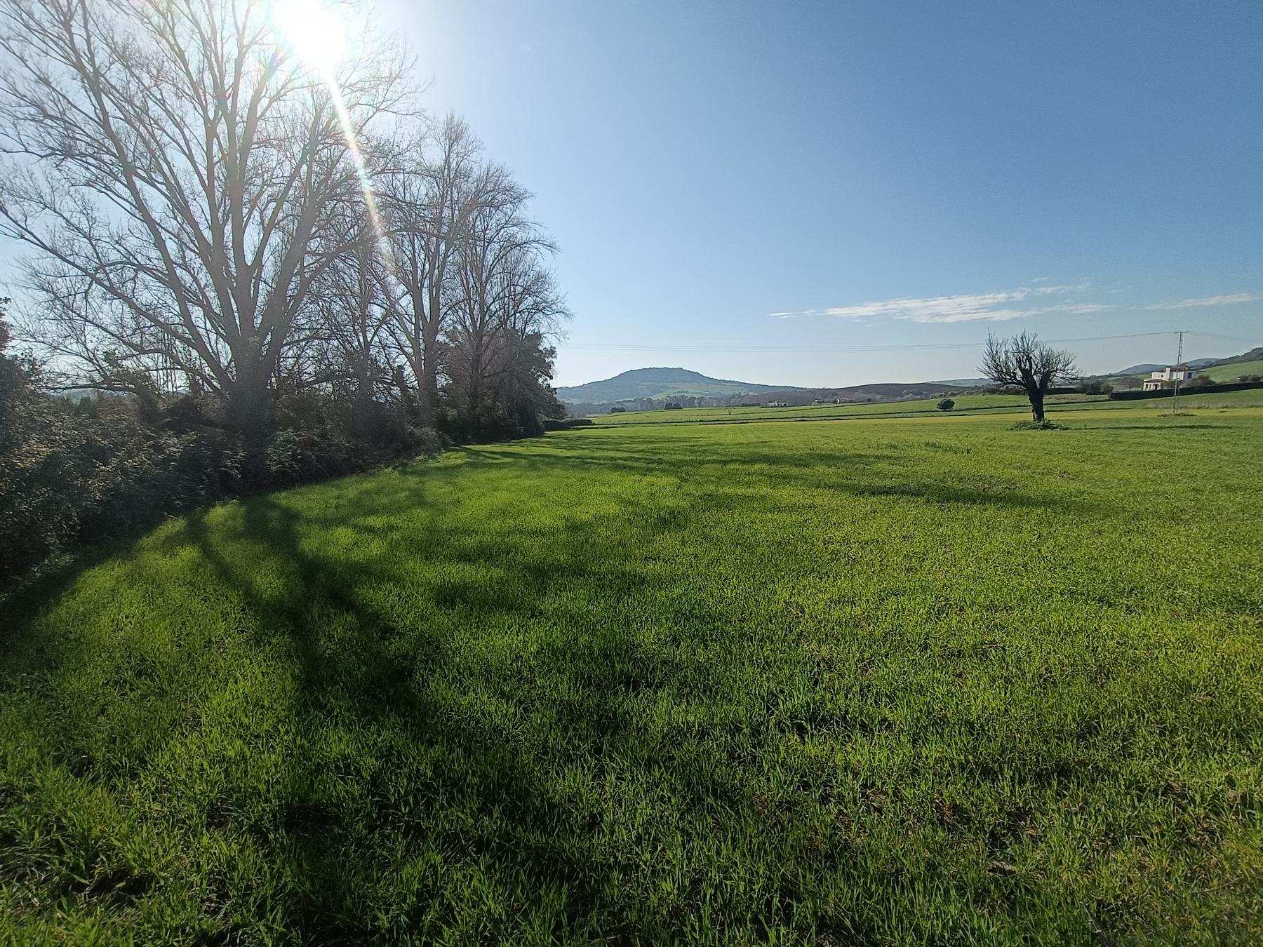 For sale of rural property in El Bosque