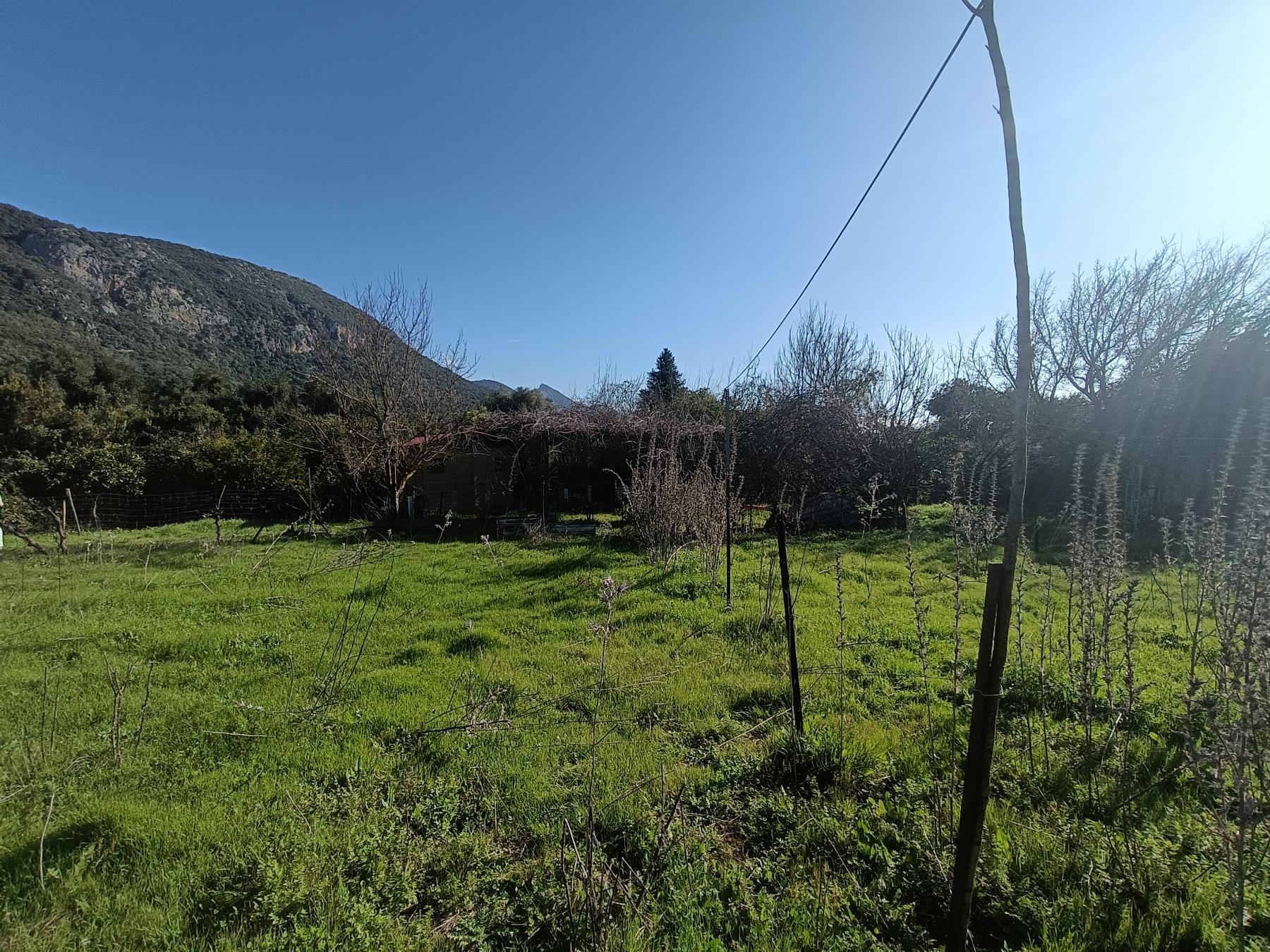 For sale of rural property in El Bosque