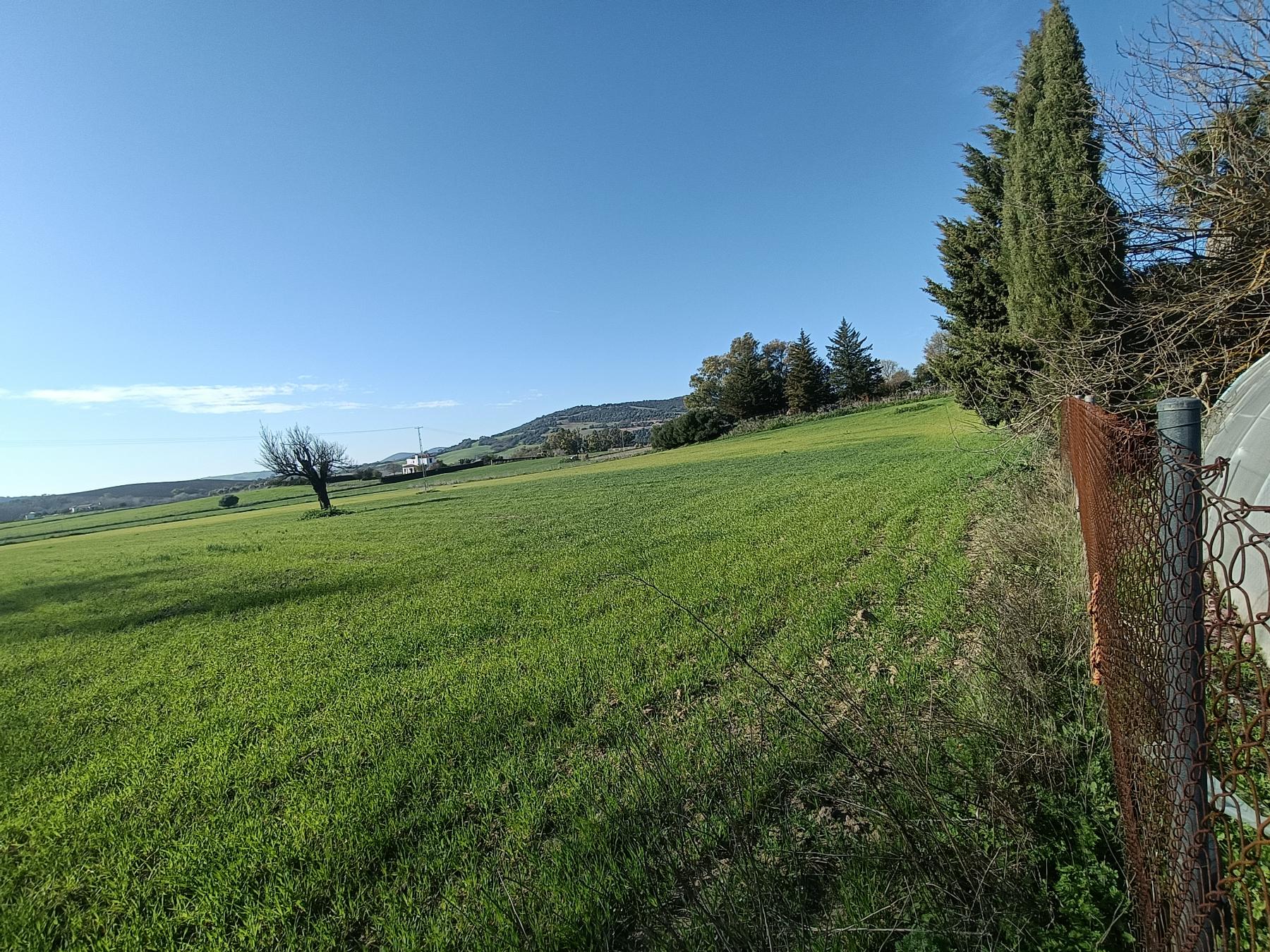 For sale of rural property in El Bosque