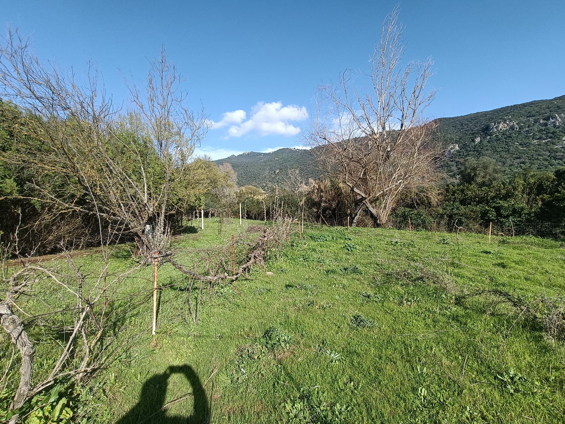 For sale of rural property in El Bosque