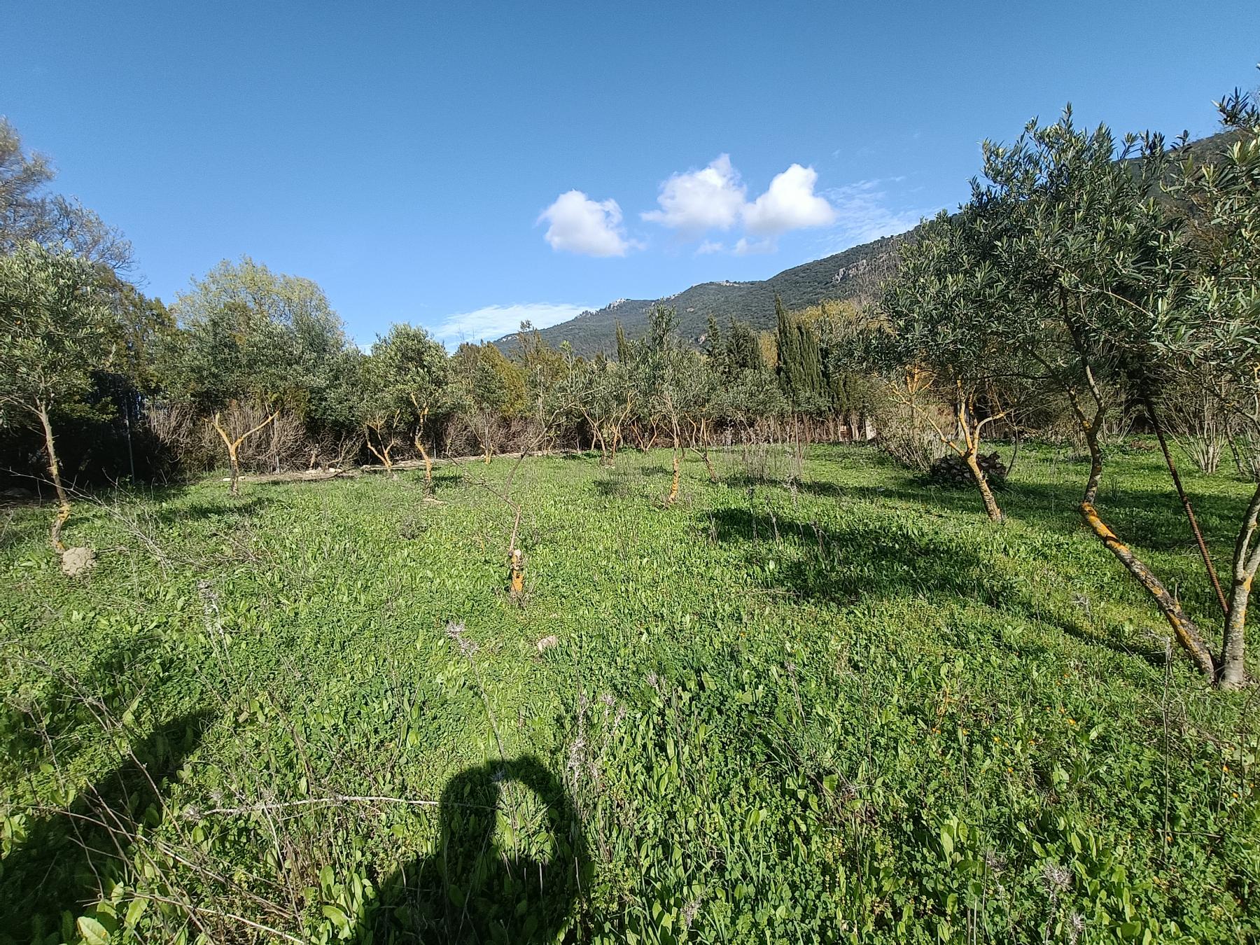 For sale of rural property in El Bosque