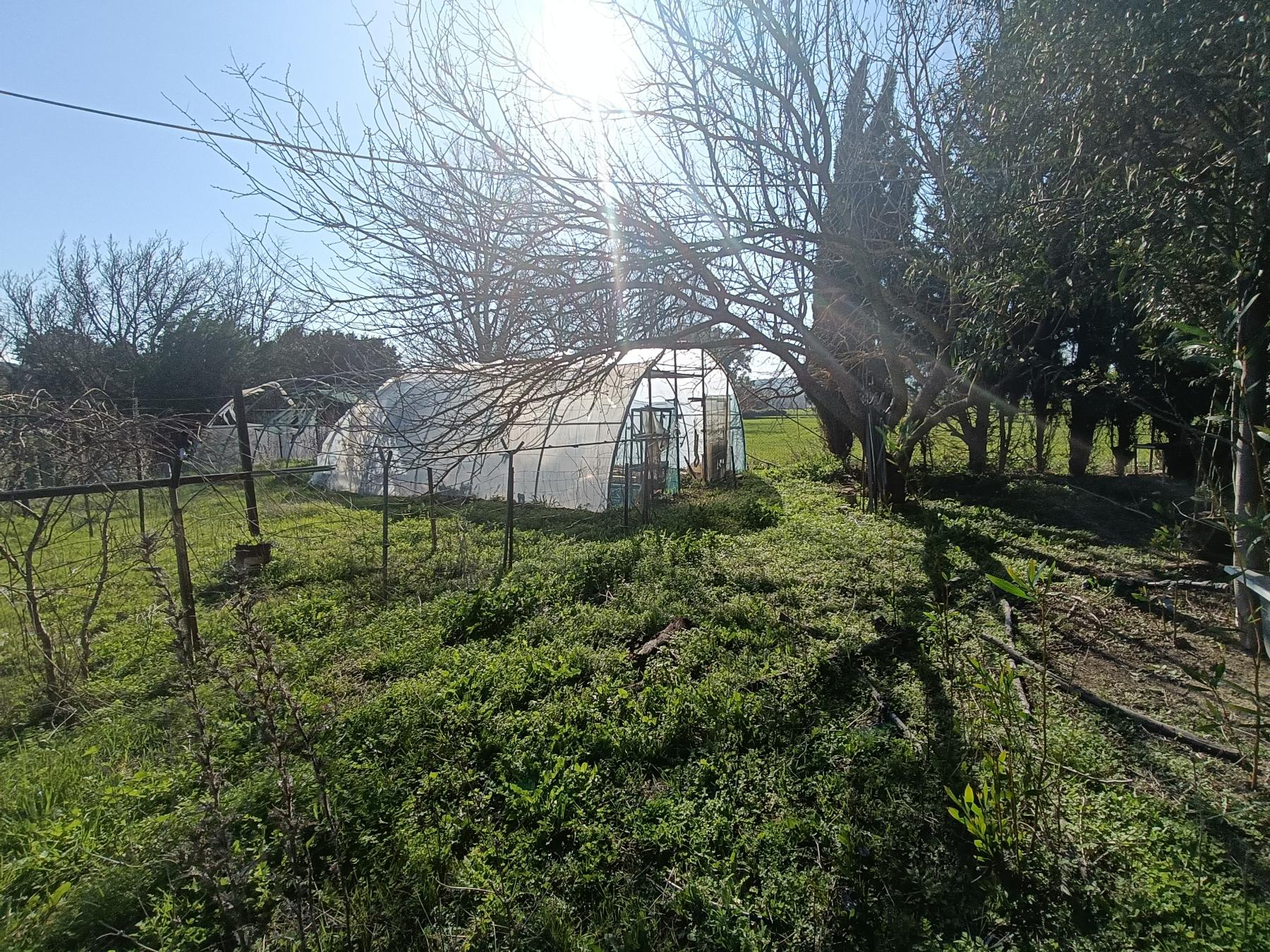 For sale of rural property in El Bosque