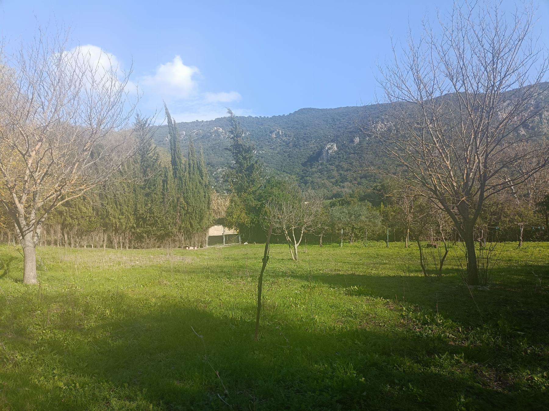 For sale of rural property in El Bosque