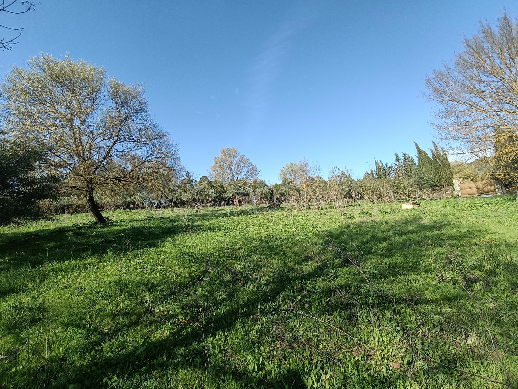 For sale of rural property in El Bosque