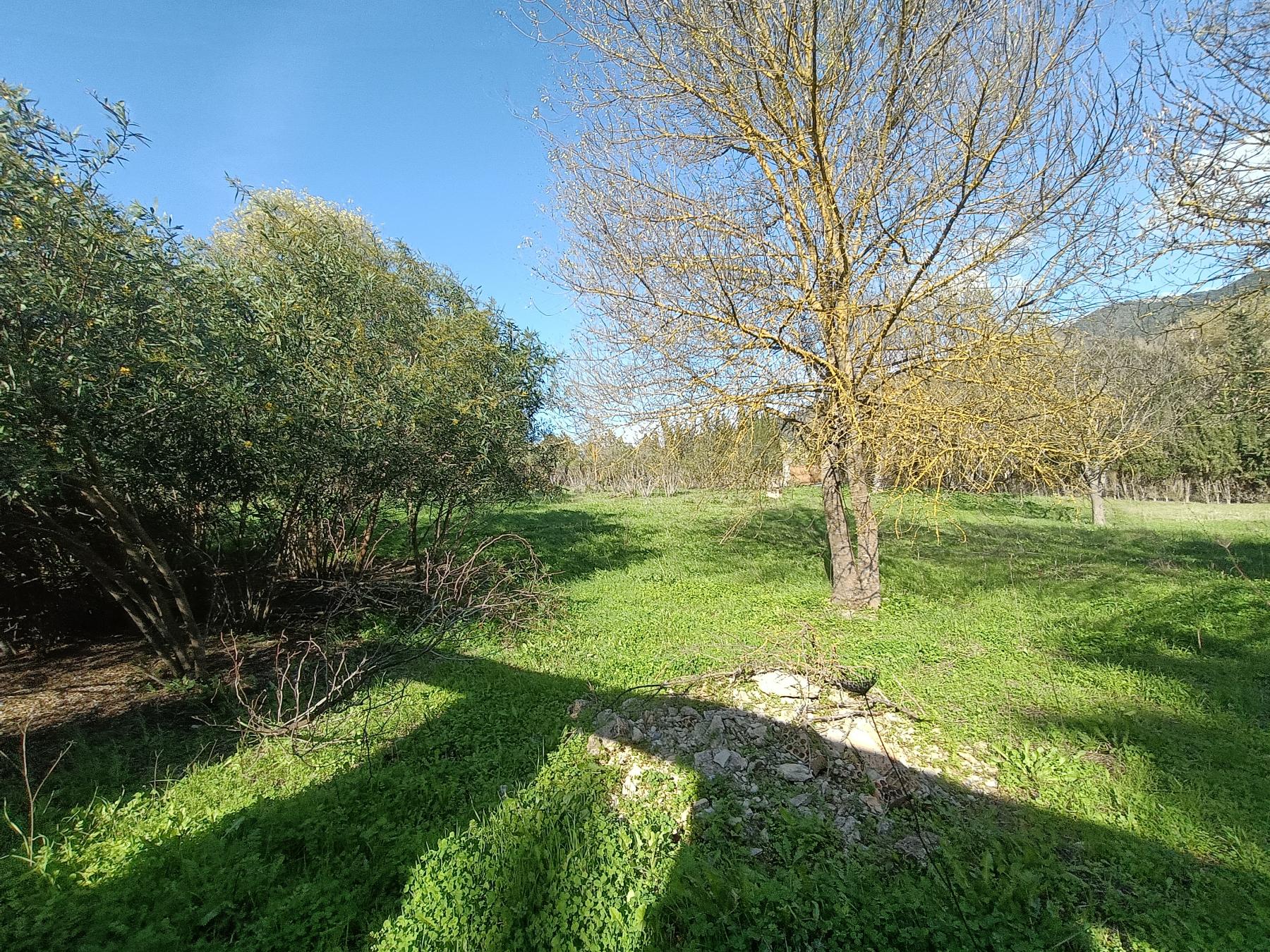For sale of rural property in El Bosque