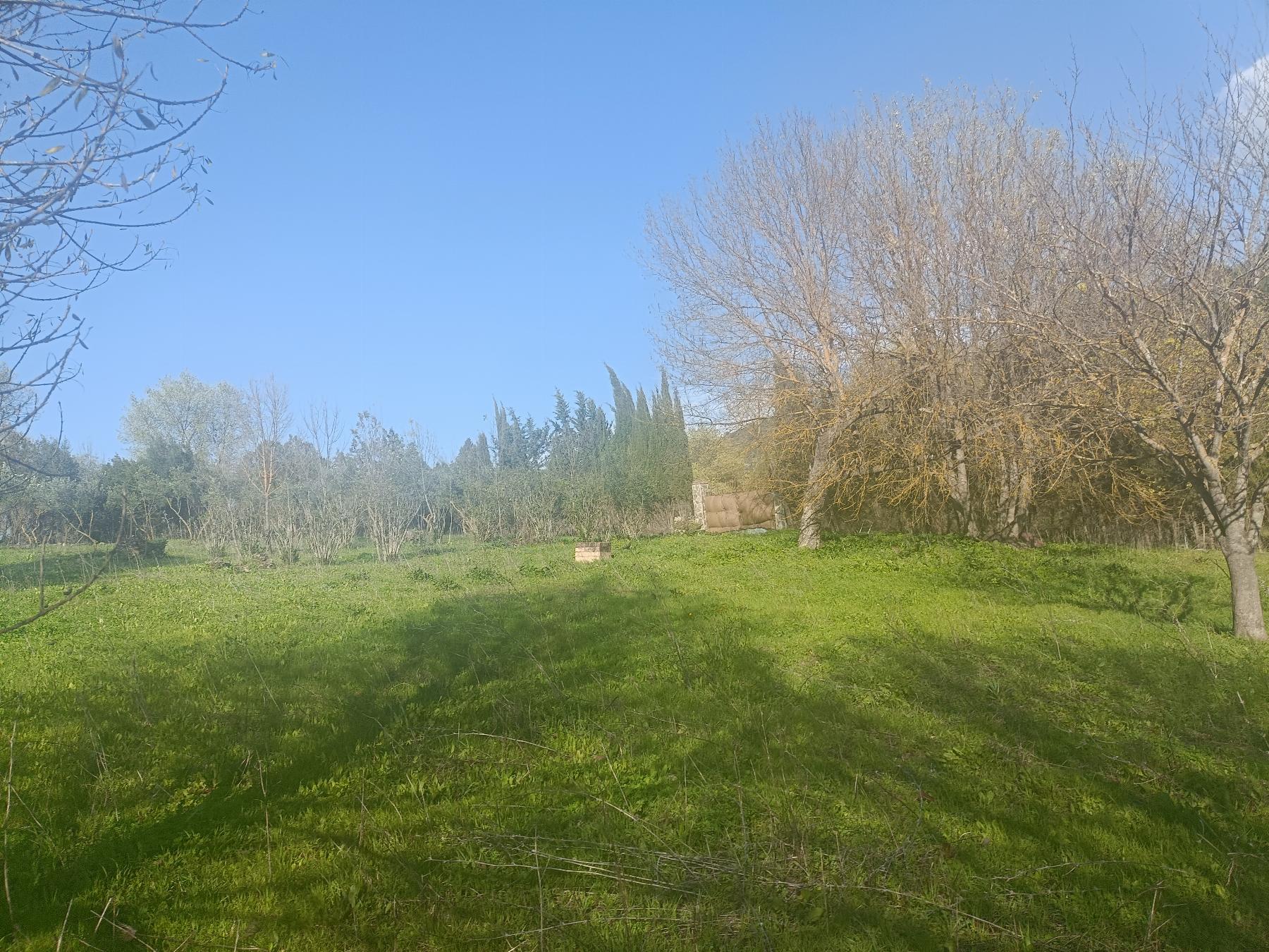 For sale of rural property in El Bosque