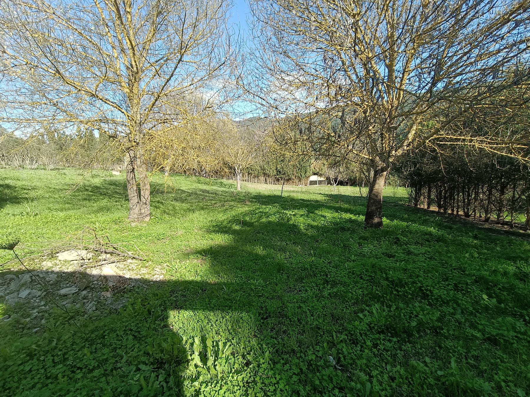 For sale of rural property in El Bosque