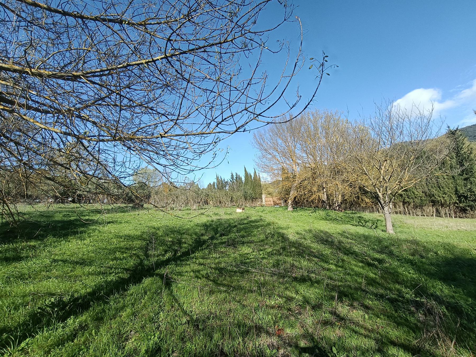 For sale of rural property in El Bosque