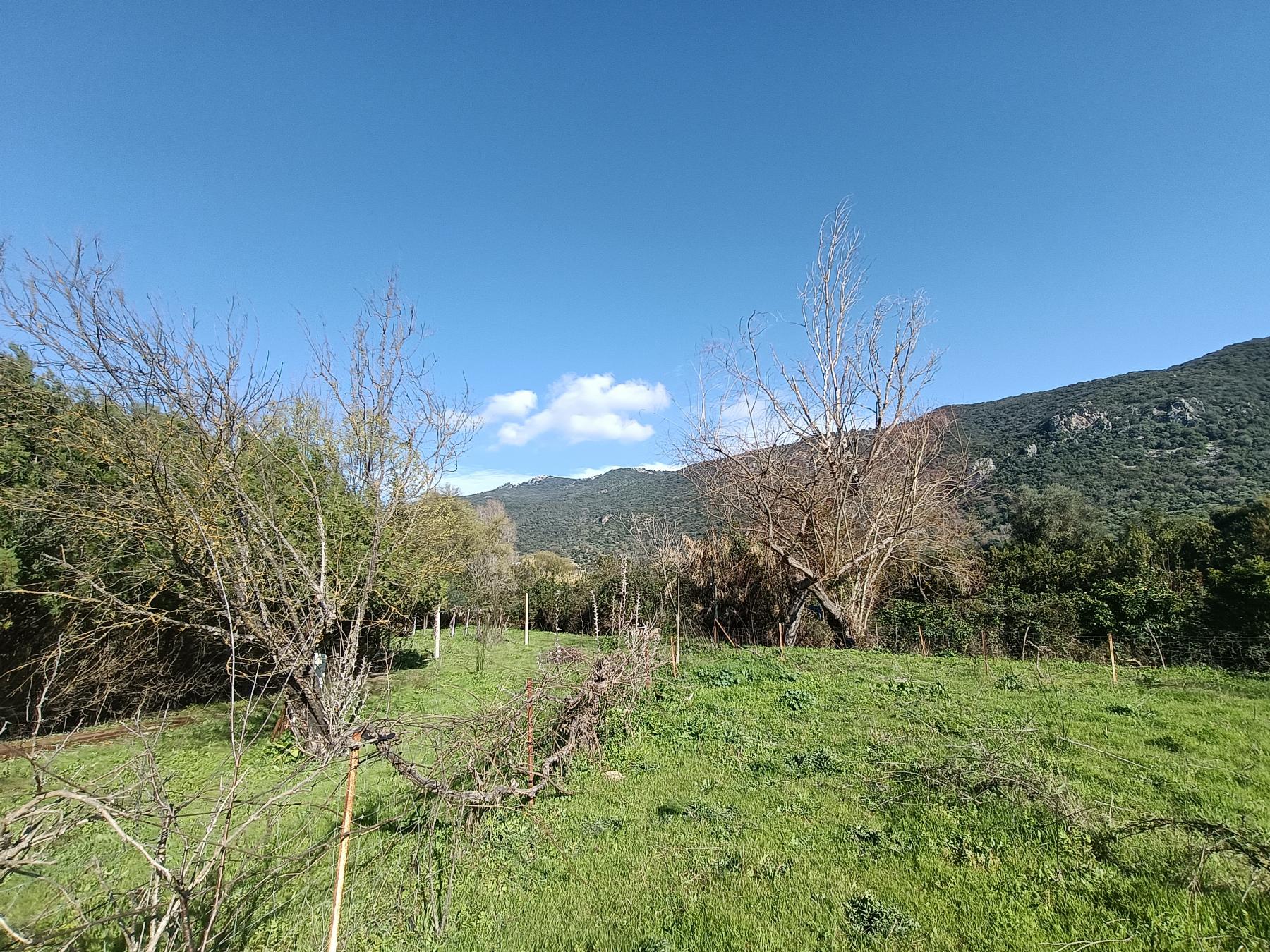 For sale of rural property in El Bosque