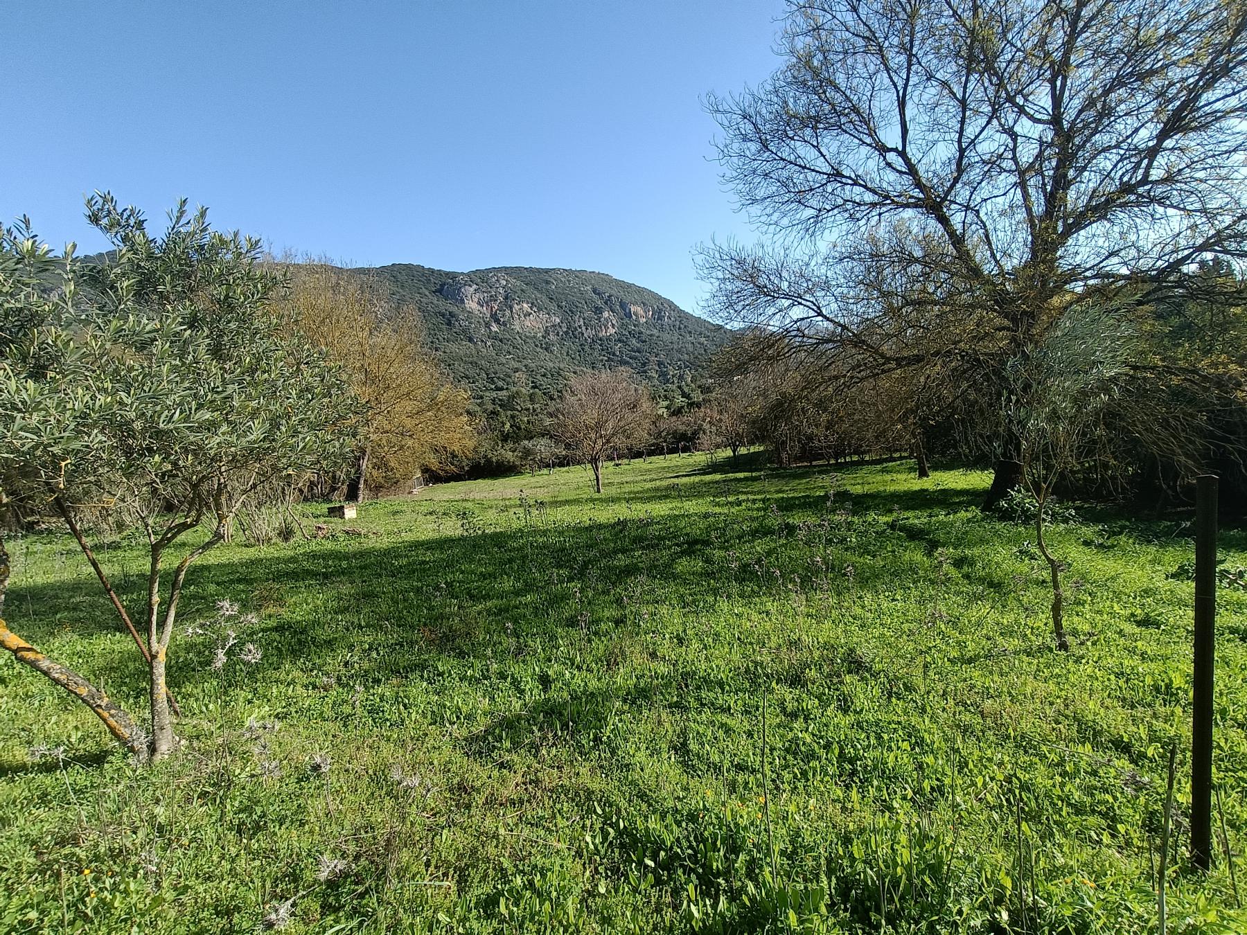 For sale of rural property in El Bosque