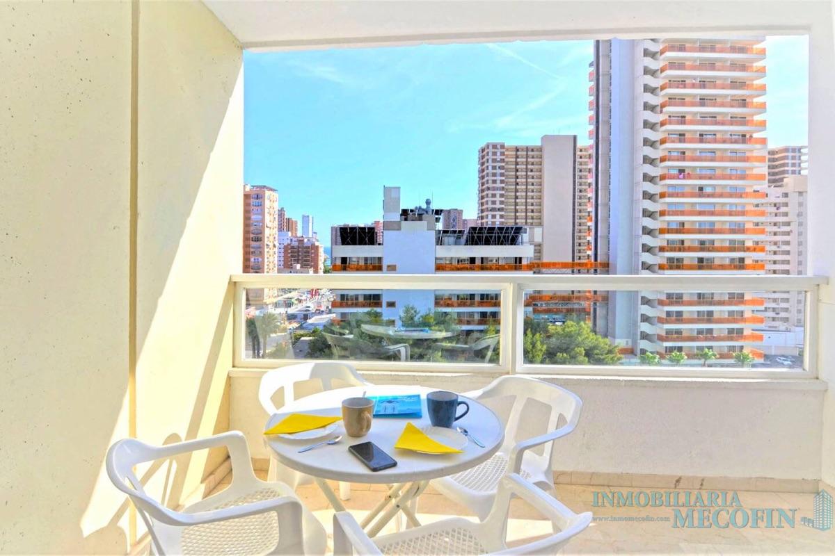 For rent of apartment in Benidorm
