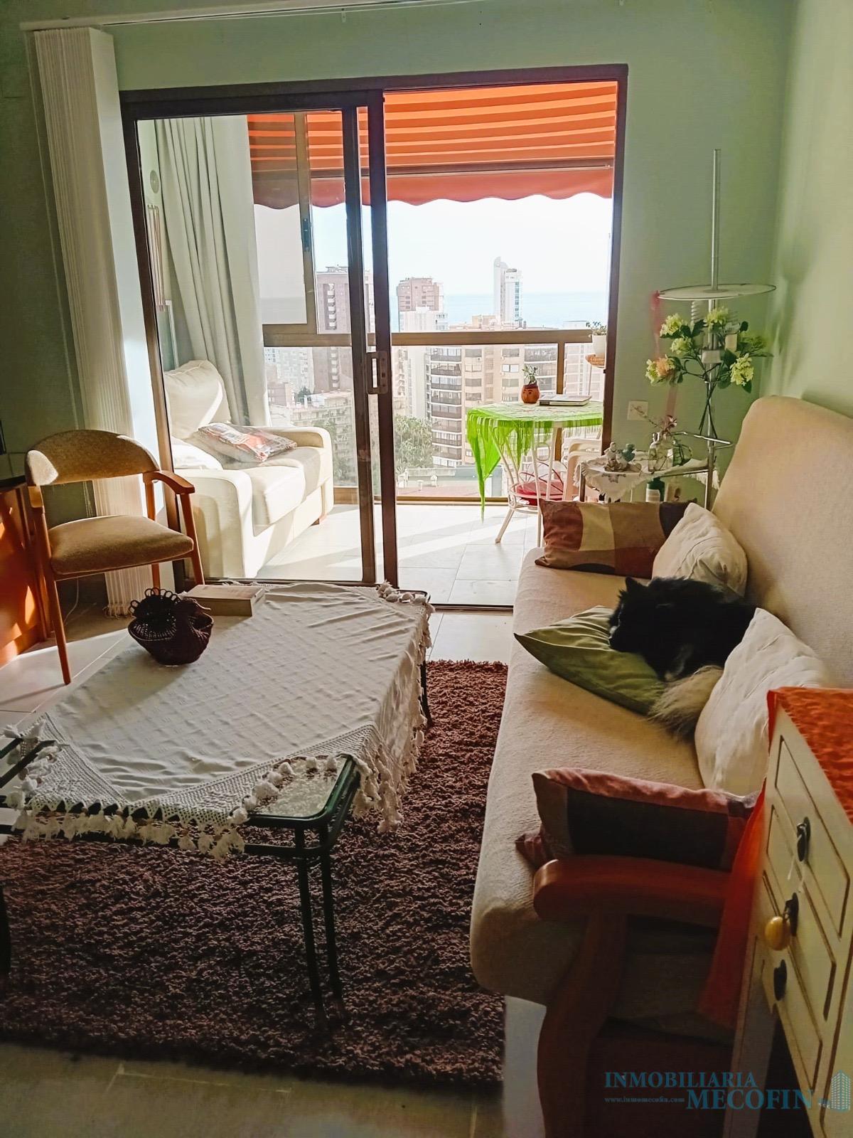 For sale of flat in Benidorm