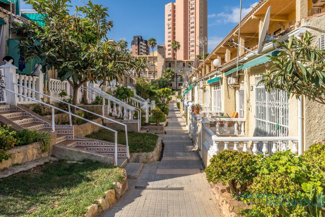 For sale of study in Benidorm