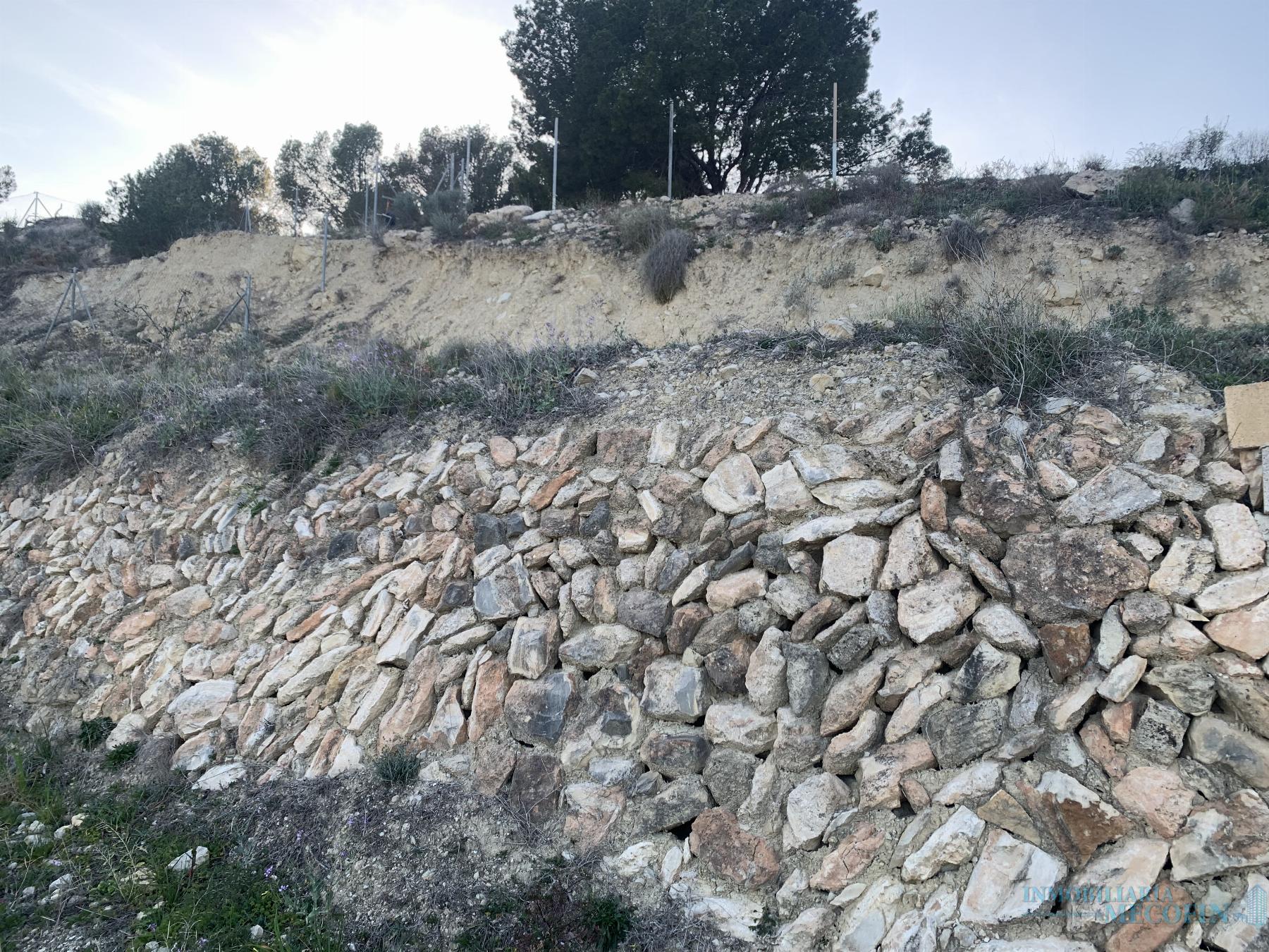 Venta de finca rústica en La Nucia
