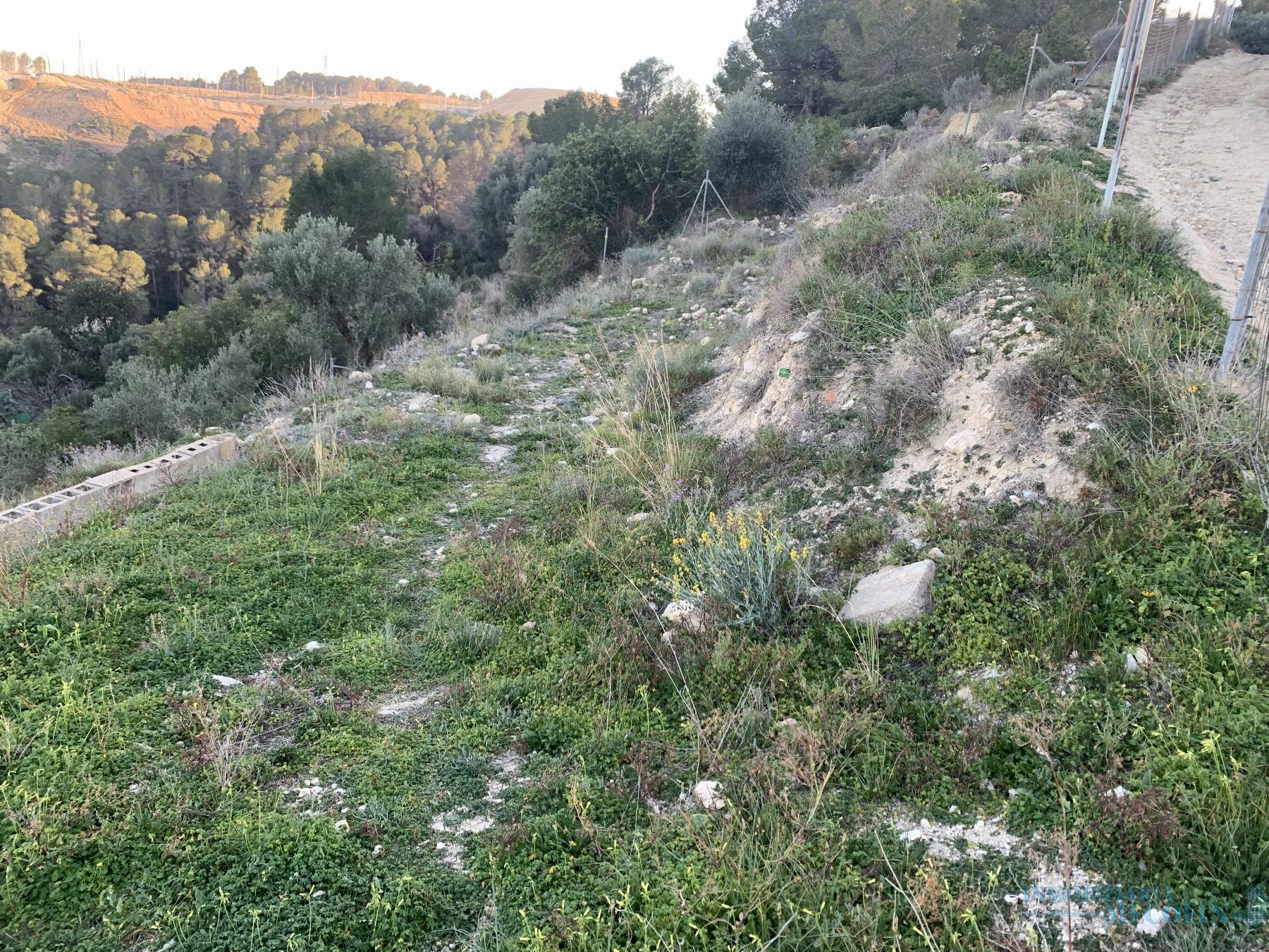 Venta de finca rústica en La Nucia