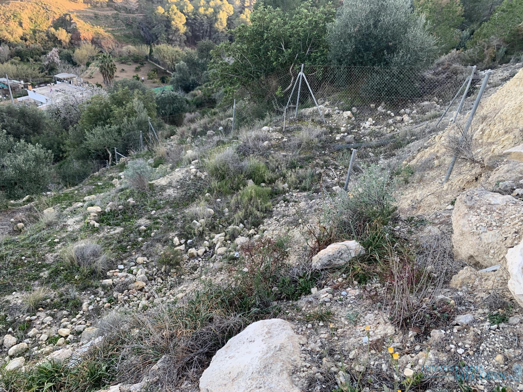 Venta de finca rústica en La Nucia