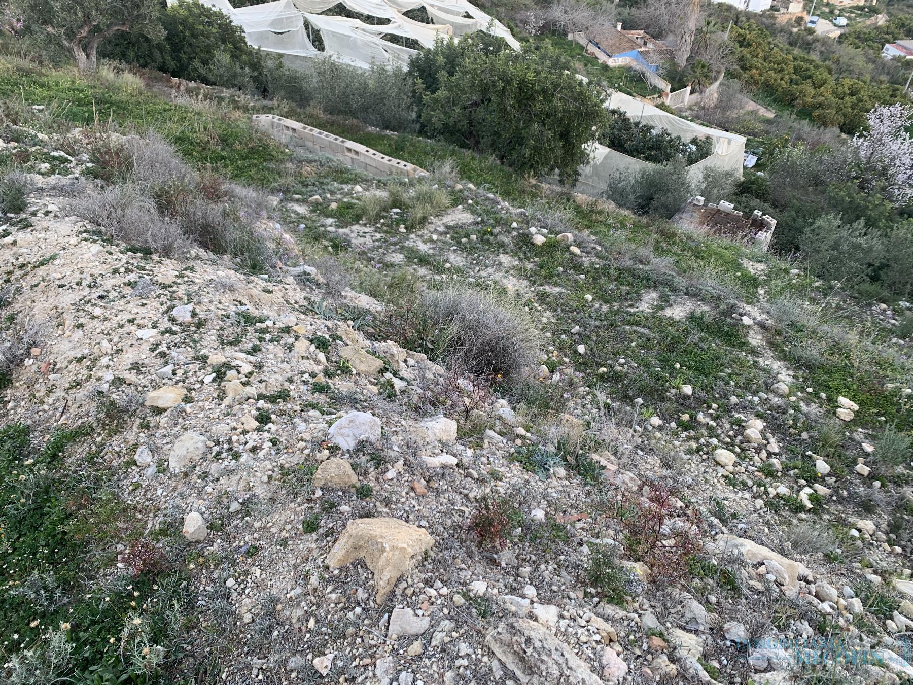 Venta de finca rústica en La Nucia