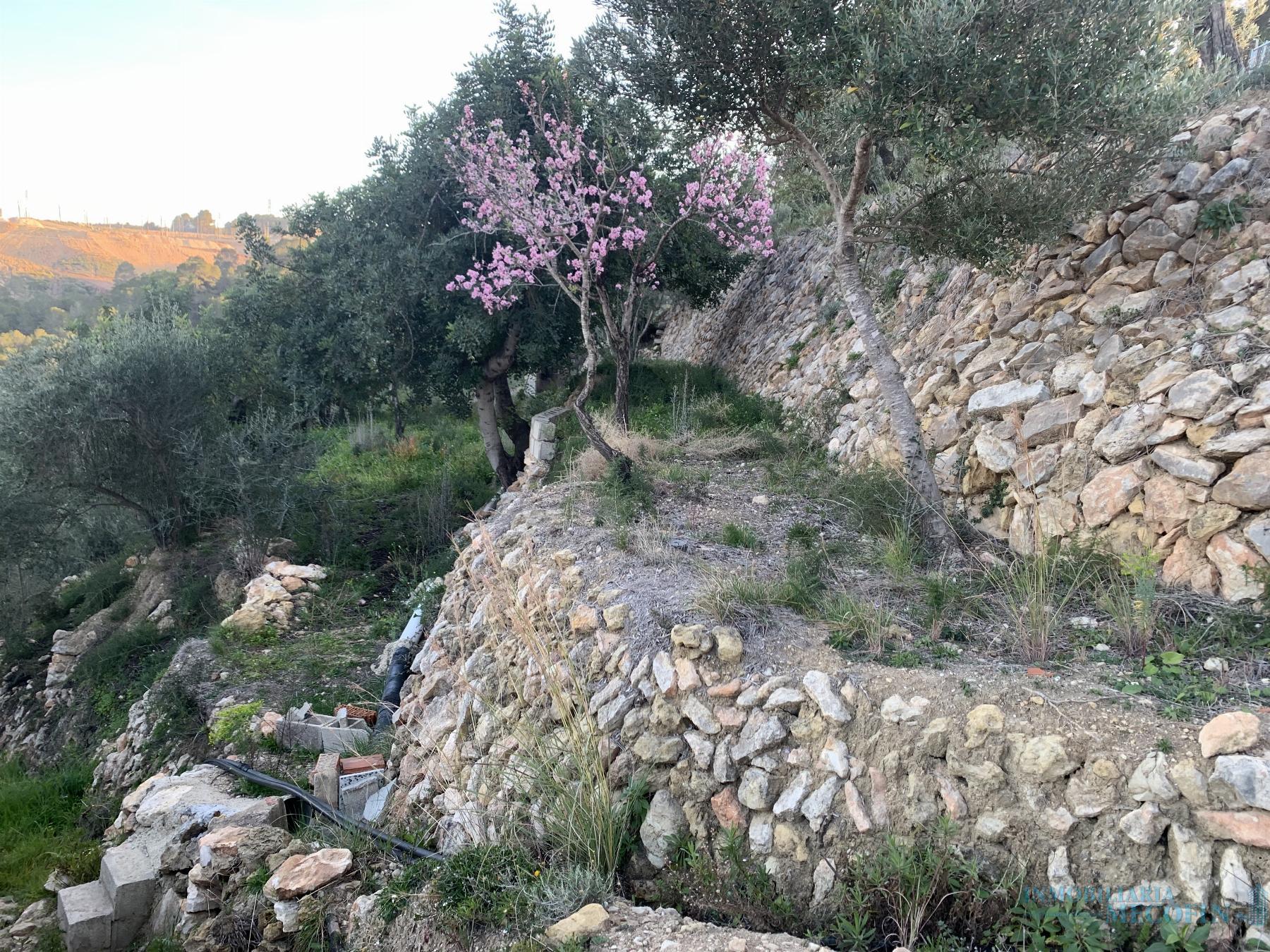 Venta de finca rústica en La Nucia