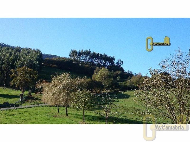 For sale of rural property in Santa María de Cayón