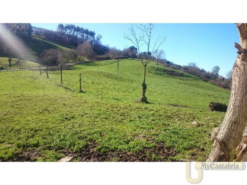 For sale of rural property in Santa María de Cayón