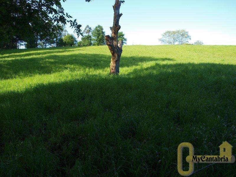 Venta de finca rústica en Santa María de Cayón