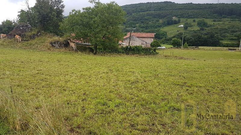 For sale of land in Villaescusa